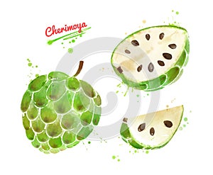 Watercolor illustration of Cherimoya fruit