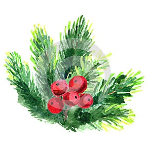 Watercolor illustration Christmas tree branch. Fir-needle elements isolated on white background.