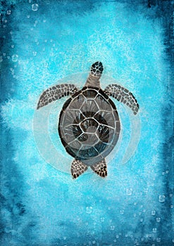 Watercolor illustration of a colorful sea turtle swimming in the blue waters