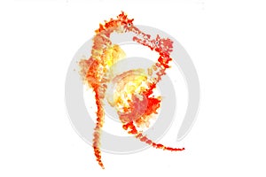 watercolor illustration of the colorful seahorse.