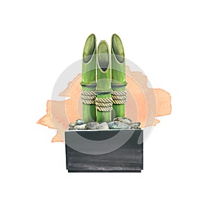 Watercolor illustration composition of bamboo stalks in pots with pebbles on the background of a watercolor spot, for