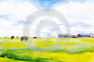 Watercolor illustration of cows grazing in a meadow near the village