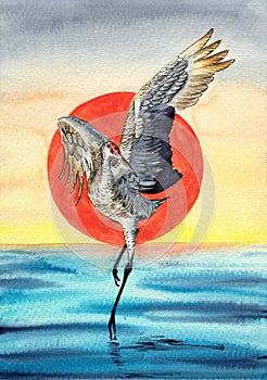 Watercolor illustration of a crane with white and black wings dancing in blue water