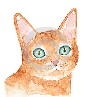 Watercolor illustration of cute beautiful ginger kitten with green eyes.