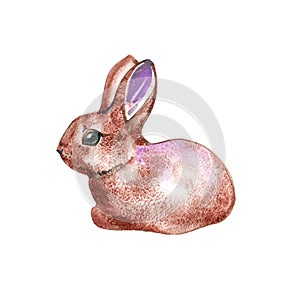 Watercolor illustration with cute bunny isolated on white background. Card for Easter