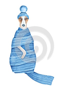 Watercolor illustration of cute dog wearing blue warm knitted scarf and cosy beanie cap with pompom.