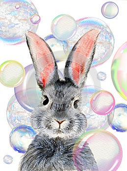 Watercolor illustration of a cute fluffy grey rabbit with pink ears