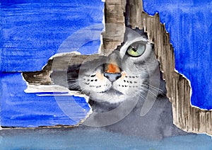 Watercolor illustration of a cute gray cat with a green eye