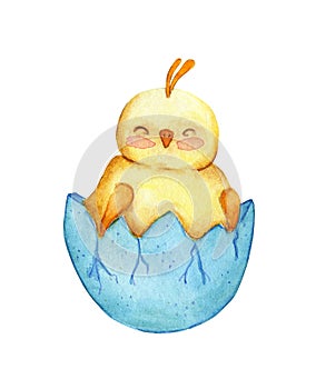 Watercolor illustration of a cute little yellow chicken sitting in a shell.