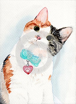 Watercolor illustration of a cute white cat
