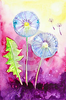 Watercolor illustration of dandelion and their parachutes on the background of a beautiful romantic sunset