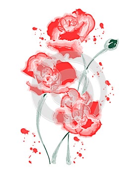 Watercolor illustration, delicate bouquet of red poppy flowers. Poster, wall art, illustration, greeting card, vector