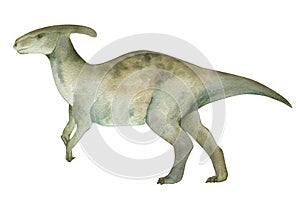 Watercolor illustration of a dinosaur parasaurolophus, watercolor texture, handmade, isolated. For children's room