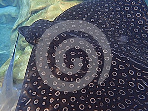 Watercolor illustration of an Eagle Ray swimming over coral reef, stingray