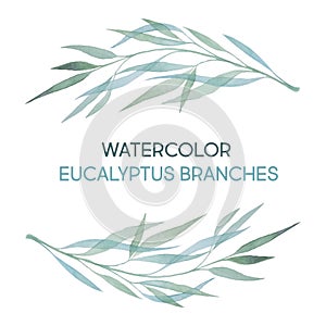 Watercolor Illustration with eucalyptus branches