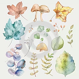 A watercolor illustration of a fairy garden and plants