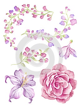 Watercolor illustration flower