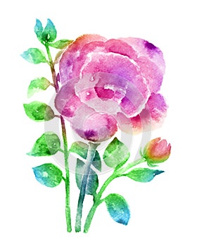 Watercolor illustration flower bouquet in simple background