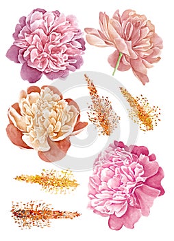 Watercolor illustration flower set in simple white background