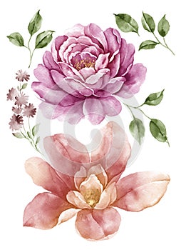 Watercolor illustration flower set in simple white background