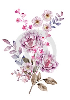 Watercolor illustration flower in simple background