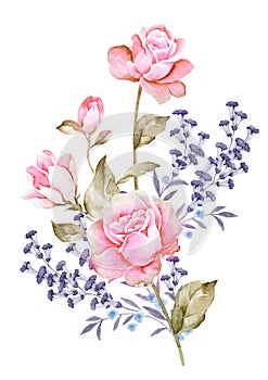 Watercolor illustration flower in simple background