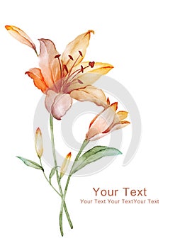 Watercolor illustration flower in simple background