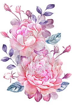 Akvarel ilustrace květina v jednoduchý 