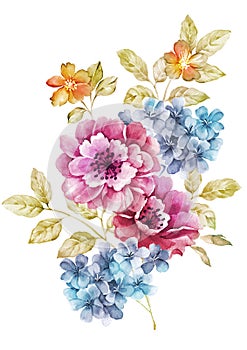 Watercolor illustration flower in simple background