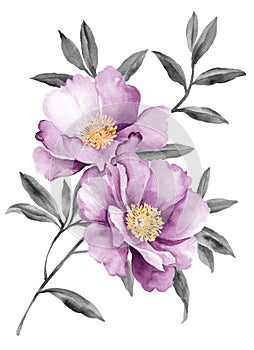 Watercolor illustration flowers photo