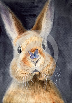 Watercolor illustration of a fluffy cute fawn rabbit with a blue butterfly