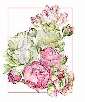 Watercolor illustration frame flower composition with tulip, bud, rose