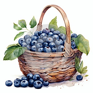 Watercolor Illustration Of Fresh Blueberries In Wicker Basket