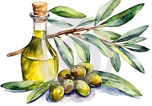 Watercolor illustration of fresh green olives and a bottle of olive oil, with a branch with leaves.