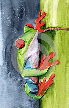 Watercolor illustration of funny colorful frog
