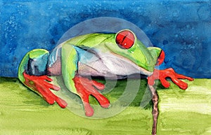 Watercolor illustration of funny colorful frog