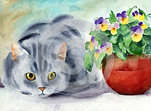 Watercolor illustration of a funny fluffy gray cat