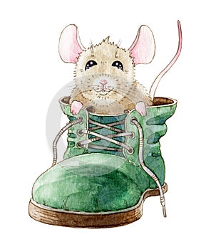 Watercolor illustration of a funny little mouse, sitting in the green shoe. Hand drawn cute rat, in an old boot.