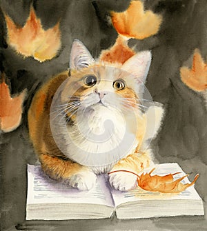 Watercolor illustration of a ginger fluffy cat lying on an open book