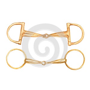 Watercolor illustration of golden snaffle, bit with D-Ring and circle rings. Equipment for horse riding set. Isolated