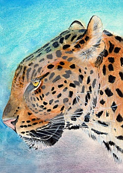 Watercolor illustration of a golden yellow with black spots leopard