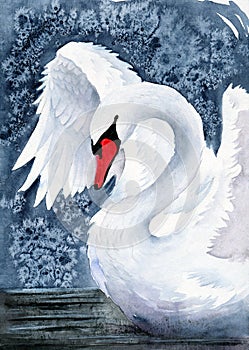 Watercolor illustration of a graceful white swan flapping its wings