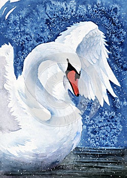 Watercolor illustration of a graceful white swan flapping its wings