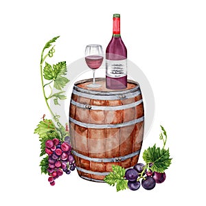 Watercolor illustration with grapes, wine glass, red wine bottle, corkscrew, barrel, grape leaves. Hand drawn isolated element.