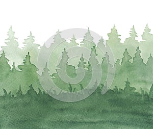 A watercolor illustration of a green coniferous forest on a white background is hand-drawn.