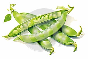 Watercolor illustration of green pea pods isolated on a white background