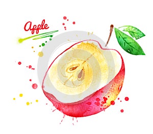 Watercolor illustration of half of red apple