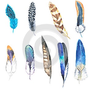 Watercolor illustration. Hand drawn feather set. Boho style. Elements for design. Cloth rug design.