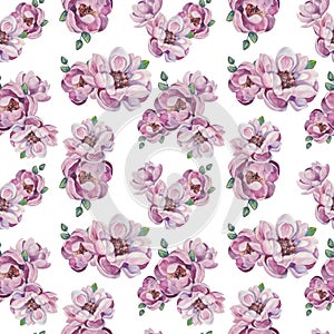 Watercolor illustration of hand painted seamless magnolia pattern. Floral design for cosmetics, perfume, beauty care products.