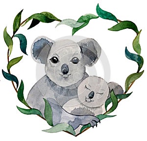 Watercolor illustration. Koala mom and baby.